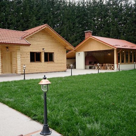 Pensiunea Floarea De Colt Nucşoara Exteriér fotografie