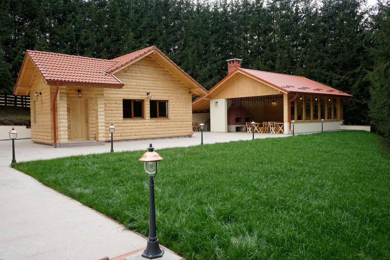 Pensiunea Floarea De Colt Nucşoara Exteriér fotografie